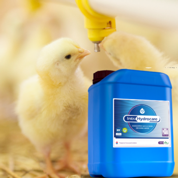 Why you should use a Water Sanitiser on your Farm